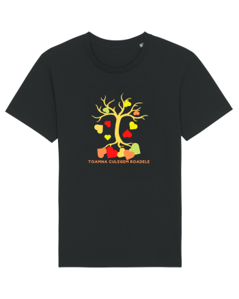 TOAMNA CULEGEM ROADELE Black