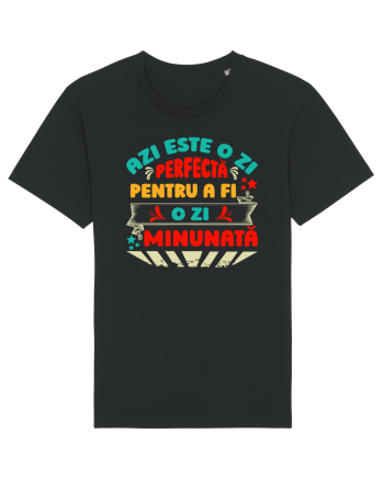 Ziua perfectă Black