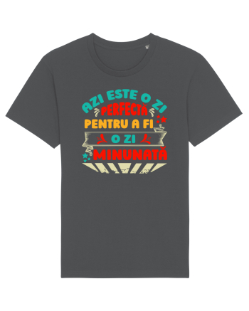 Ziua perfectă Anthracite