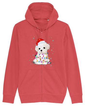 Bishon Little Xmas Carmine Red