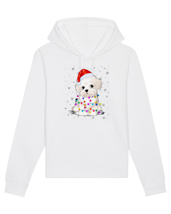 Bishon Little Xmas White