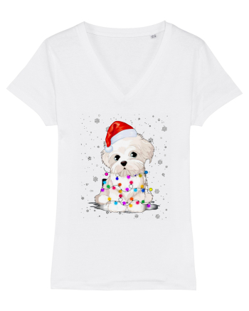 Bishon Little Xmas White