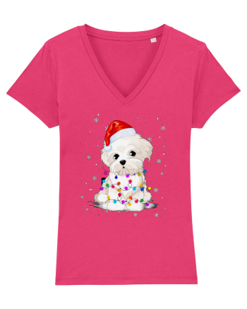Bishon Little Xmas Raspberry
