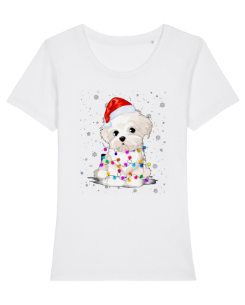 Bishon Little Xmas White