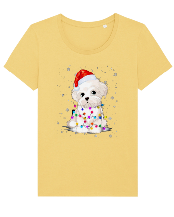 Bishon Little Xmas Jojoba