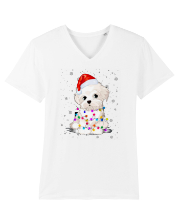Bishon Little Xmas White