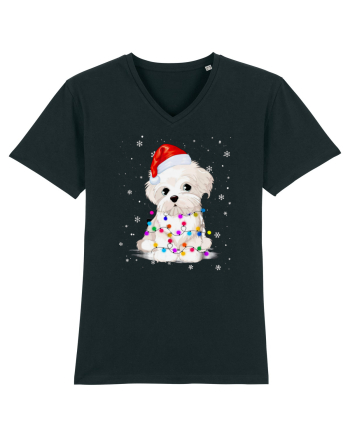 Bishon Little Xmas Black