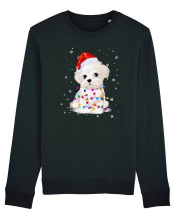 Bishon Little Xmas Black