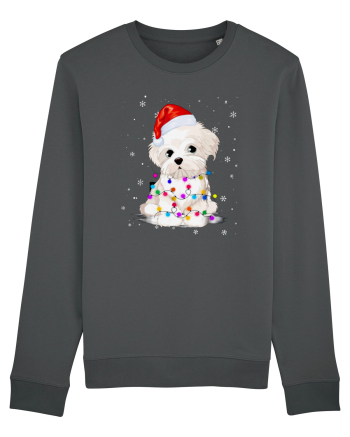 Bishon Little Xmas Anthracite