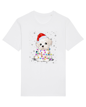 Bishon Little Xmas White