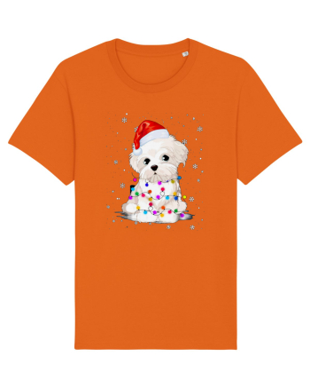 Bishon Little Xmas Bright Orange