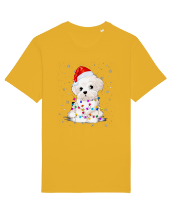 Bishon Little Xmas Spectra Yellow