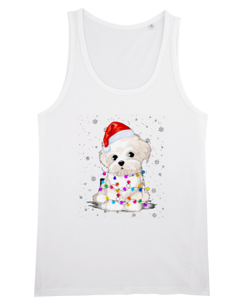 Bishon Little Xmas White