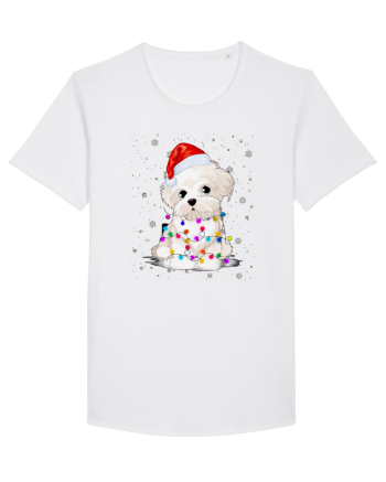 Bishon Little Xmas White