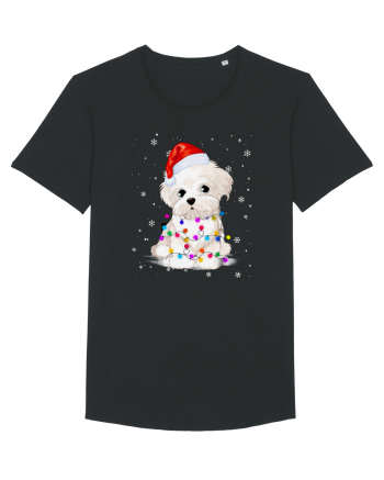 Bishon Little Xmas Black