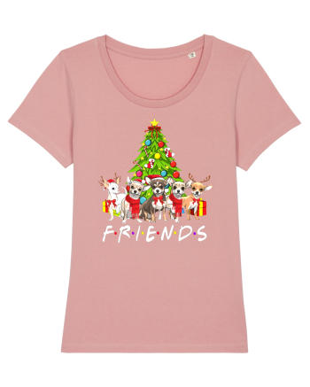 Christmas Chihuahua Friends Canyon Pink