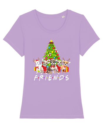Christmas Chihuahua Friends Lavender Dawn