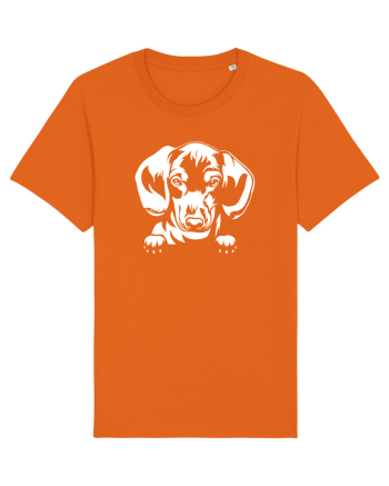 Dachshund Bright Orange