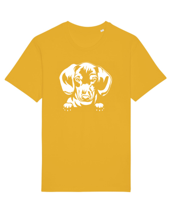 Dachshund Spectra Yellow