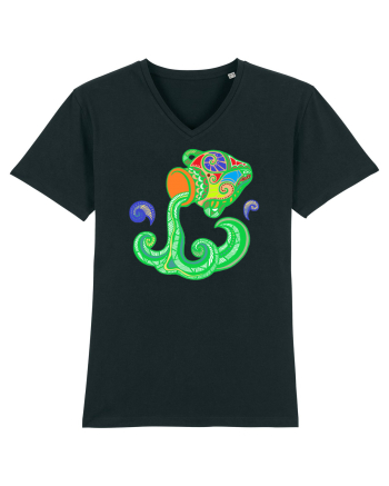 Colectia zodiac-Varsator Black