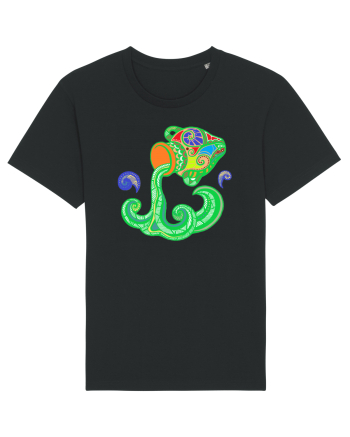 Colectia zodiac-Varsator Black