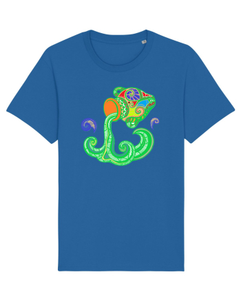 Colectia zodiac-Varsator Royal Blue