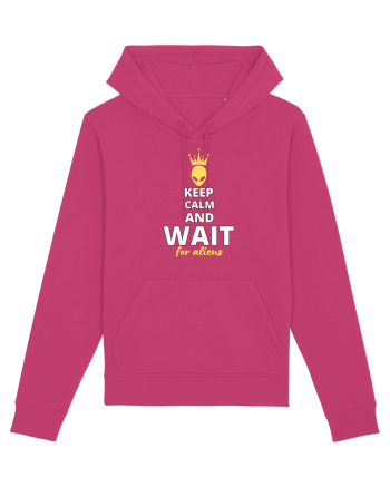 KEEP CALM AND WAIT FOR ALIENS Raspberry