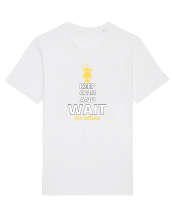 KEEP CALM AND WAIT FOR ALIENS White