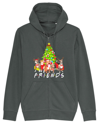 Christmas Pitbull Friends Anthracite