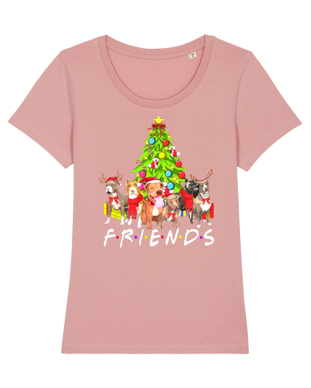 Christmas Pitbull Friends Canyon Pink