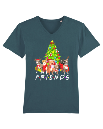 Christmas Pitbull Friends Stargazer