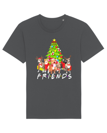 Christmas Pitbull Friends Anthracite