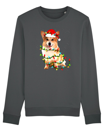 Corgi Christmas Light Anthracite