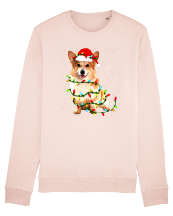 Corgi Christmas Light Candy Pink