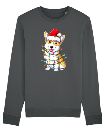 Corgi Xmas Light Anthracite