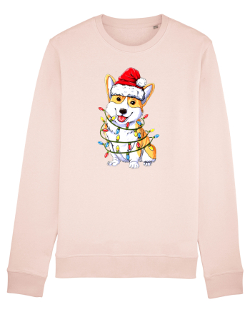 Corgi Xmas Light Candy Pink