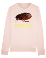 Cu inima cat un purice Bluză mânecă lungă Unisex Rise