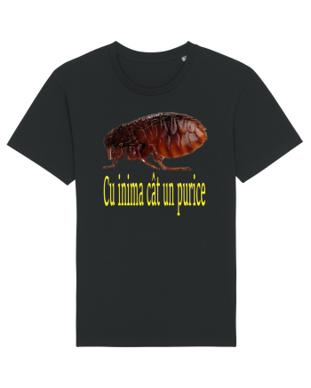 Cu inima cat un purice Black