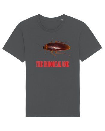 Immortal nemuritorul Anthracite