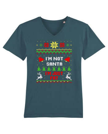 I'm Not Santa I'm Just Fat Stargazer