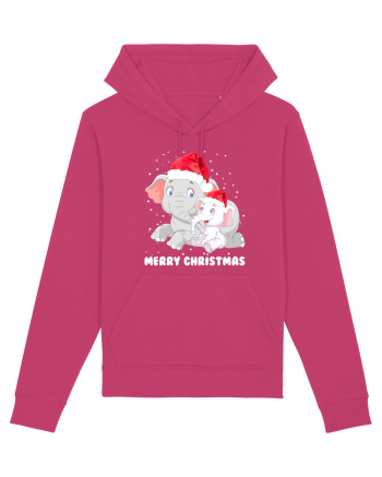 Merry Christmas Raspberry