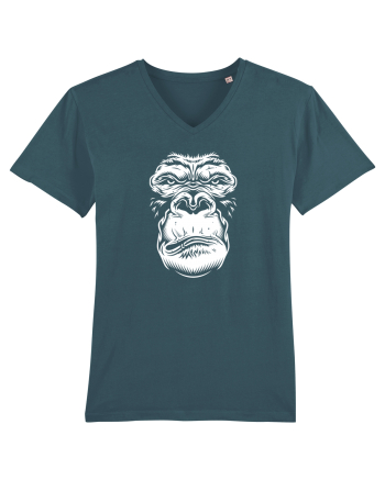 Monkey face Stargazer