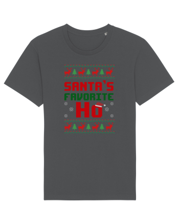 Santa's Favorite Ho Anthracite