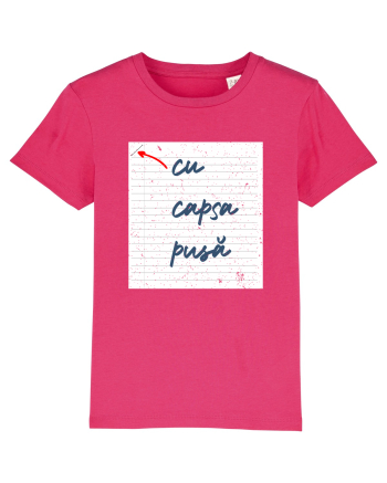 Cu capsa pusă Raspberry