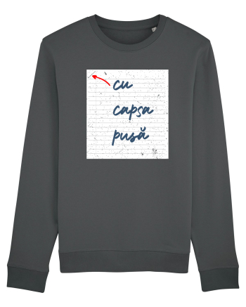 Cu capsa pusă Anthracite