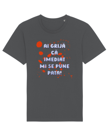 Mi se pune pata Anthracite