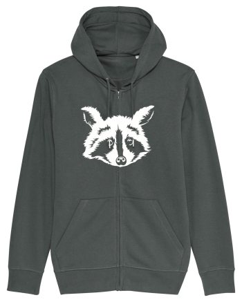 Raccoon Anthracite