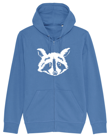 Raccoon Bright Blue