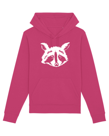 Raccoon Raspberry