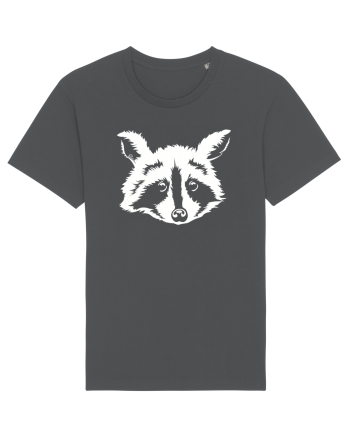 Raccoon Anthracite